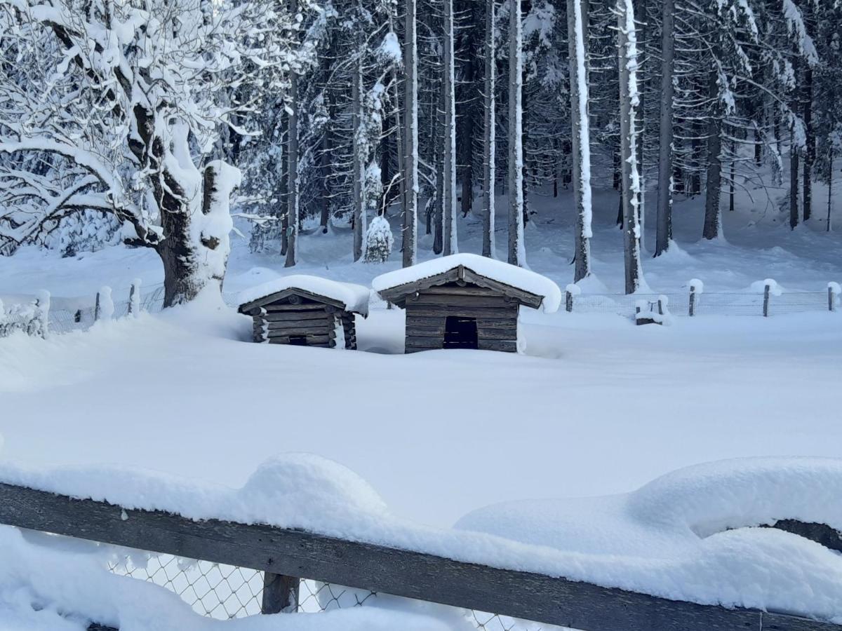 Haus Silvia * Flachau